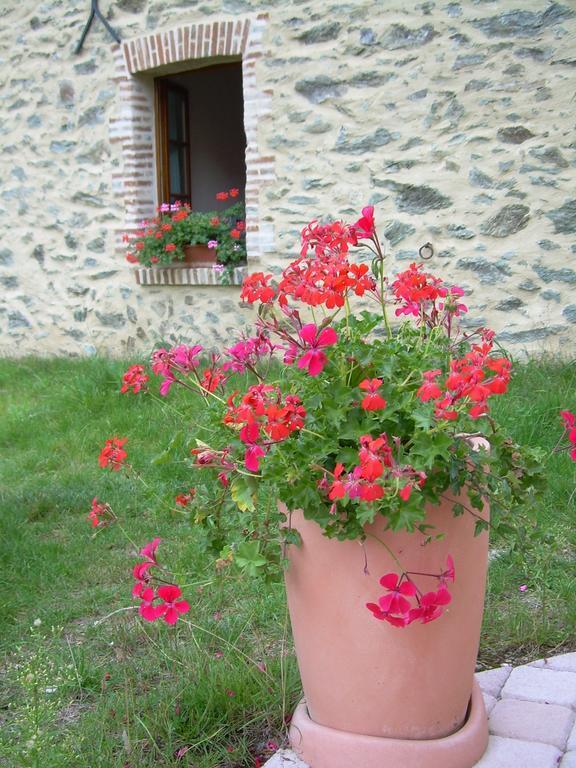 Le Moulin De Drapras Bed & Breakfast Chemille-en-Anjou Room photo